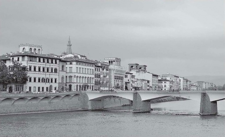 Иллюстрация к книге — Нежная магия Тосканы. Вино, коты и призраки [i_034.jpg]