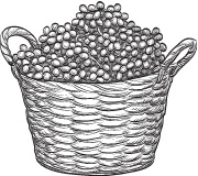 Иллюстрация к книге — Нежная магия Тосканы. Вино, коты и призраки [i_038.jpg]