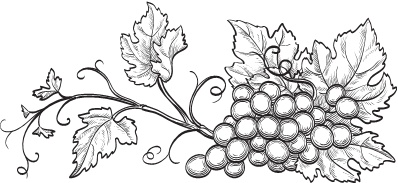 Иллюстрация к книге — Нежная магия Тосканы. Вино, коты и призраки [i_041.jpg]