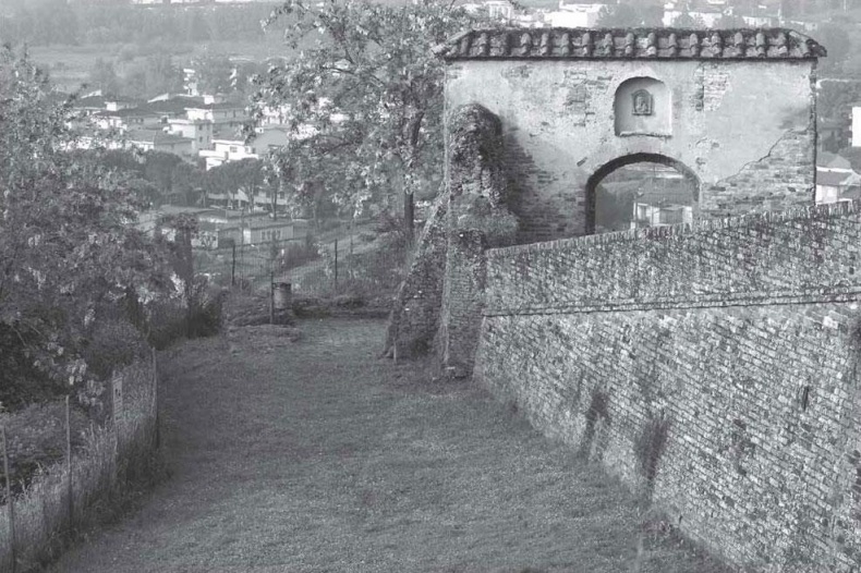 Иллюстрация к книге — Нежная магия Тосканы. Вино, коты и призраки [i_045.jpg]