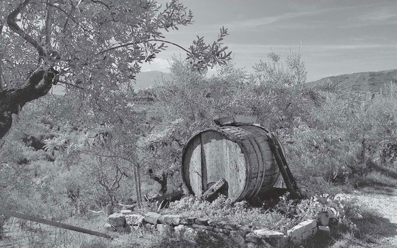 Иллюстрация к книге — Нежная магия Тосканы. Вино, коты и призраки [i_054.jpg]