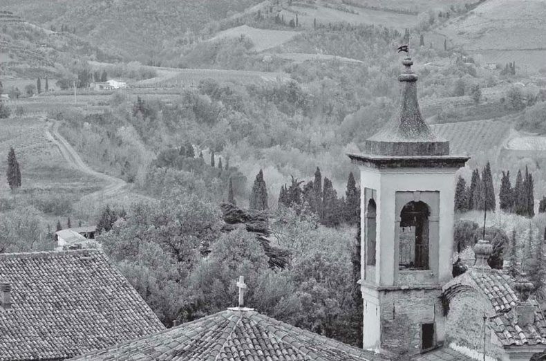 Иллюстрация к книге — Нежная магия Тосканы. Вино, коты и призраки [i_057.jpg]