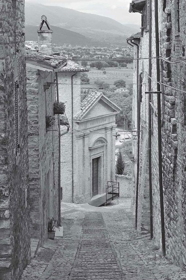 Иллюстрация к книге — Нежная магия Тосканы. Вино, коты и призраки [i_069.jpg]