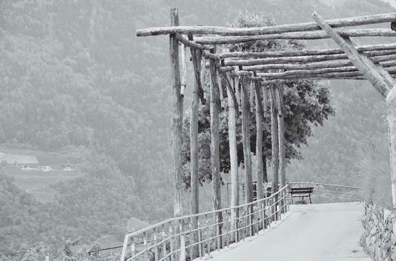 Иллюстрация к книге — Нежная магия Тосканы. Вино, коты и призраки [i_070.jpg]