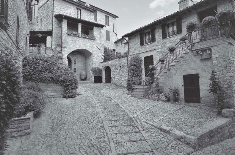 Иллюстрация к книге — Нежная магия Тосканы. Вино, коты и призраки [i_071.jpg]