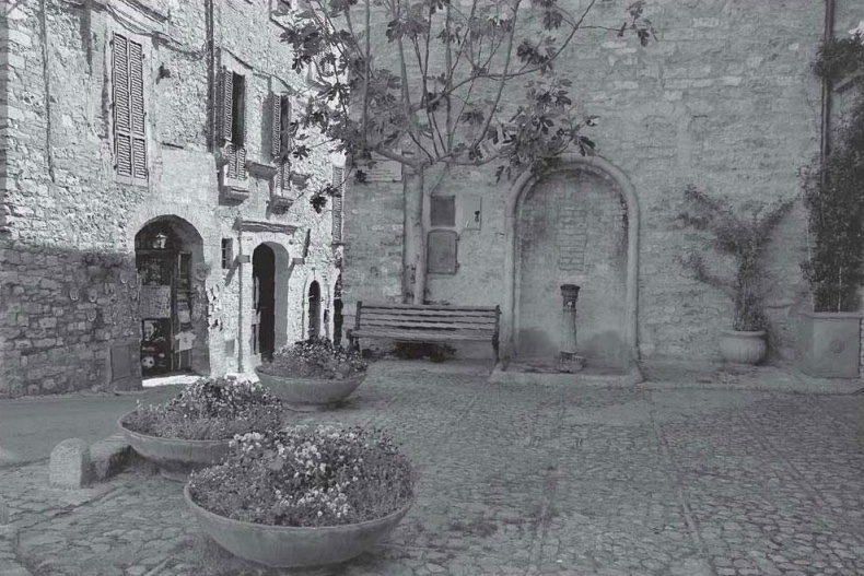 Иллюстрация к книге — Нежная магия Тосканы. Вино, коты и призраки [i_078.jpg]