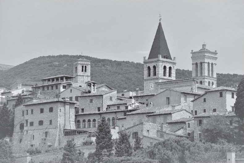 Иллюстрация к книге — Нежная магия Тосканы. Вино, коты и призраки [i_080.jpg]