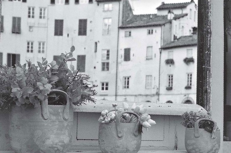 Иллюстрация к книге — Нежная магия Тосканы. Вино, коты и призраки [i_081.jpg]