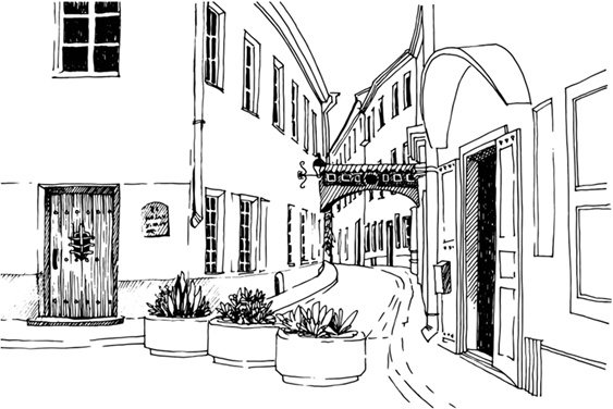 Иллюстрация к книге — Нежная магия Тосканы. Вино, коты и призраки [i_084.jpg]