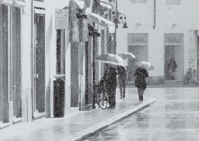 Иллюстрация к книге — Нежная магия Тосканы. Вино, коты и призраки [i_092.jpg]