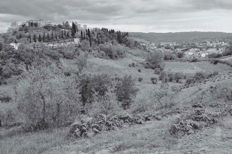 Иллюстрация к книге — Нежная магия Тосканы. Вино, коты и призраки [i_099.jpg]