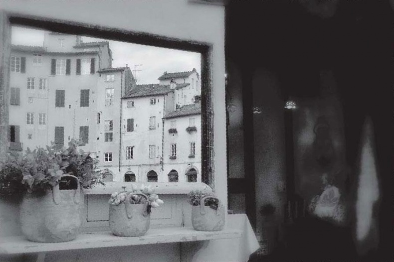 Иллюстрация к книге — Нежная магия Тосканы. Вино, коты и призраки [i_100.jpg]