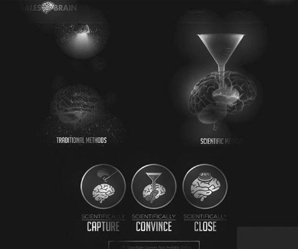 Иллюстрация к книге — Код убеждения. Как нейромаркетинг повышает продажи, эффективность рекламных кампаний и конверсию сайта [i_038.jpg]