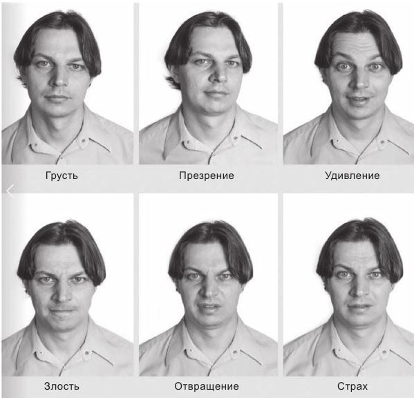 Иллюстрация к книге — Код убеждения. Как нейромаркетинг повышает продажи, эффективность рекламных кампаний и конверсию сайта [i_044.jpg]