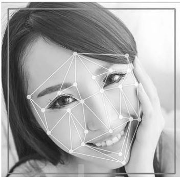 Иллюстрация к книге — Код убеждения. Как нейромаркетинг повышает продажи, эффективность рекламных кампаний и конверсию сайта [i_106.jpg]