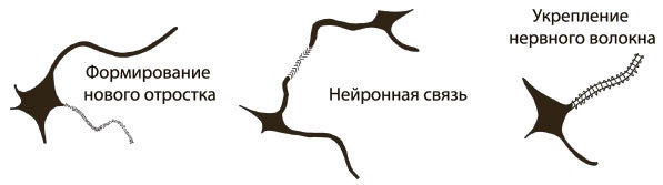 Иллюстрация к книге — Безграничный разум [i_002.jpg]