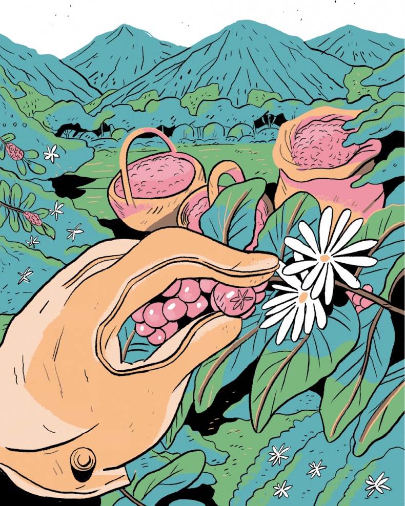 Иллюстрация к книге — Магия кофе. Полная энциклопедия [i_008.jpg]