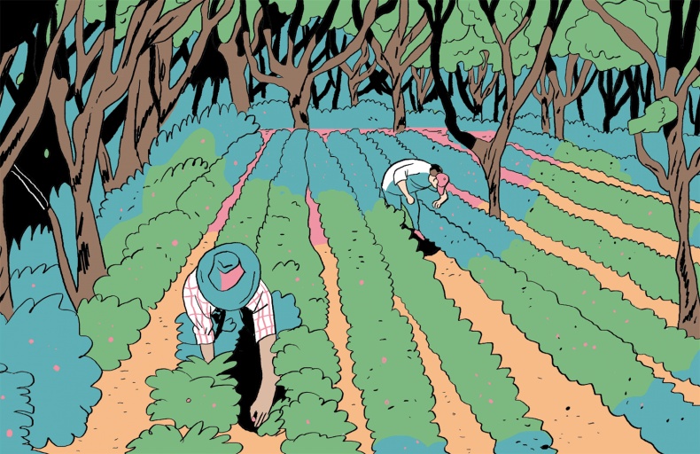 Иллюстрация к книге — Магия кофе. Полная энциклопедия [i_009.jpg]