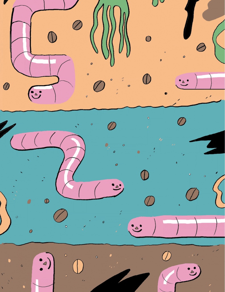 Иллюстрация к книге — Магия кофе. Полная энциклопедия [i_029.jpg]