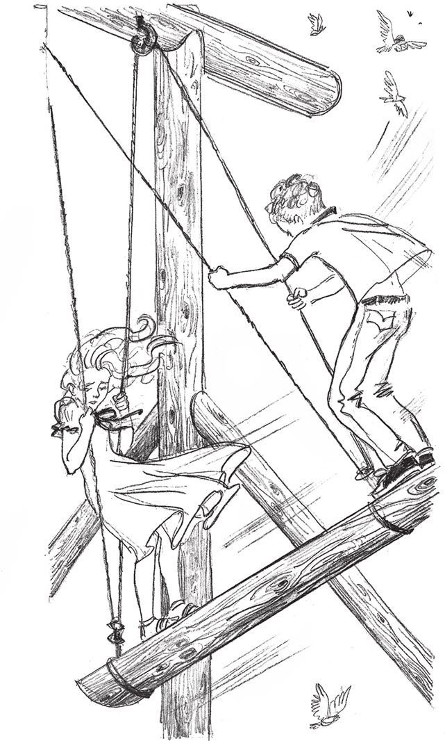 Иллюстрация к книге — Слушай птиц [i_020.jpg]