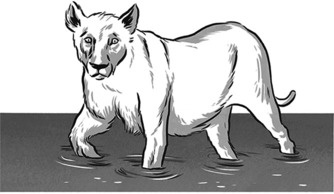 Иллюстрация к книге — Теория игр в комиксах [i_117.jpg]