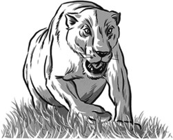 Иллюстрация к книге — Теория игр в комиксах [i_119.jpg]