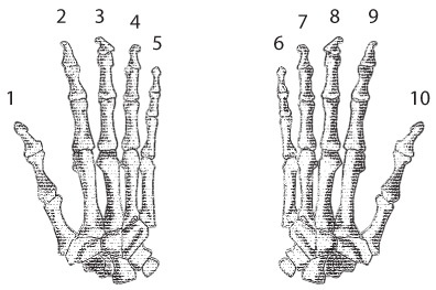Иллюстрация к книге — Код. Тайный язык информатики [i_070.jpg]