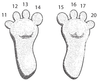 Иллюстрация к книге — Код. Тайный язык информатики [i_076.jpg]