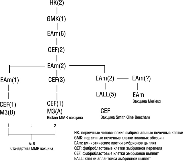Иллюстрация к книге — Прививать или не прививать? или Ну, подумаешь, укол! Мифы о вакцинации [i_006.jpg]
