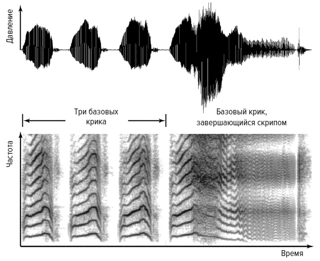 Иллюстрация к книге — Зачем мы говорим [i_008.jpg]