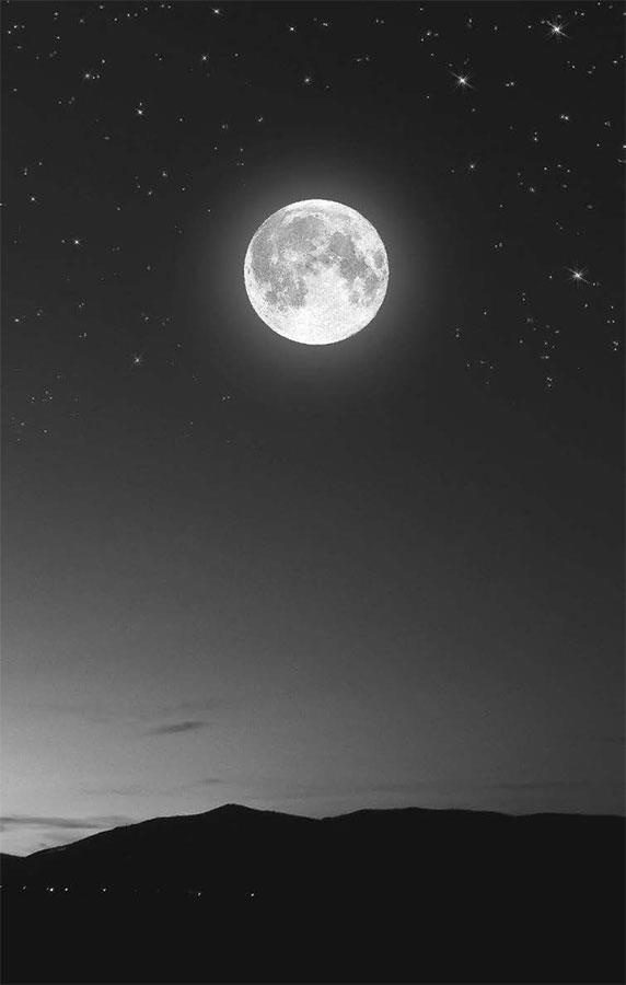 Иллюстрация к книге — Как победить бессонницу? Здоровый сон за 6 недель [i_010.jpg]