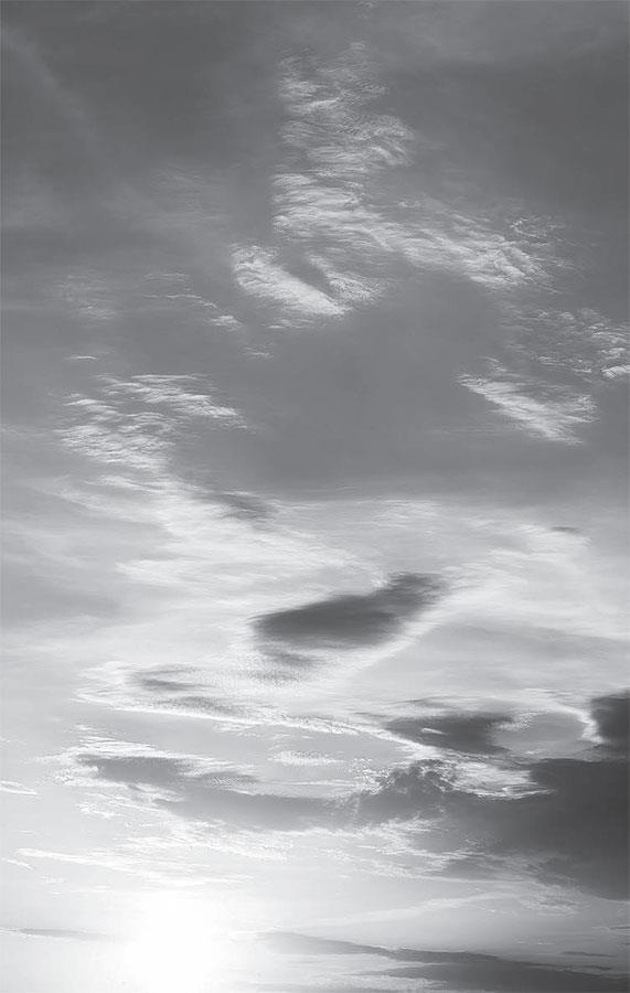 Иллюстрация к книге — Как победить бессонницу? Здоровый сон за 6 недель [i_058.jpg]