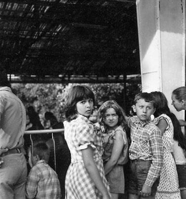 Иллюстрация к книге — Тайны жизни Ники Турбиной («Я не хочу расти…) [i_095.jpg]