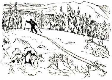 Иллюстрация к книге — Том в горах [i_013.jpg]