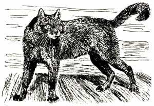 Иллюстрация к книге — Том в горах [i_022.jpg]