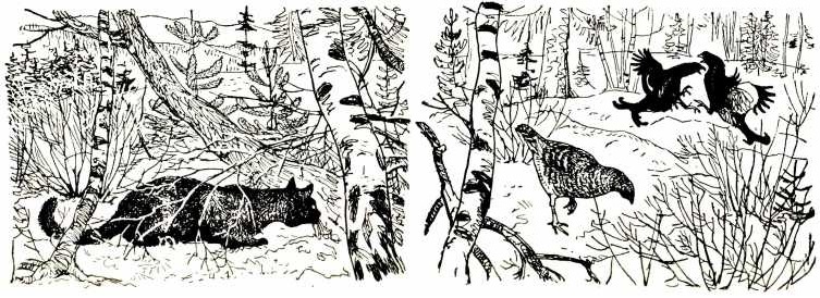 Иллюстрация к книге — Том в горах [i_024.jpg]