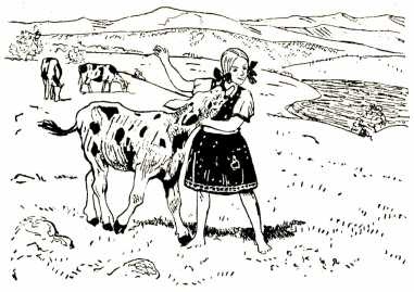 Иллюстрация к книге — Том в горах [i_030.jpg]