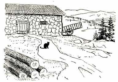 Иллюстрация к книге — Том в горах [i_033.jpg]