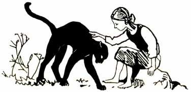 Иллюстрация к книге — Том в горах [i_034.jpg]