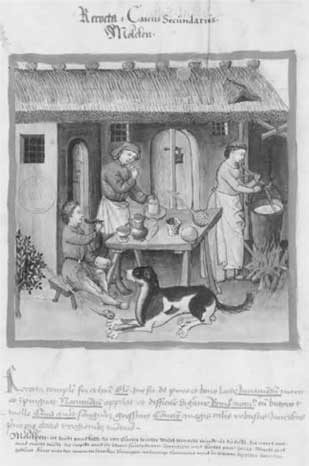 Иллюстрация к книге — Молоко! Самый спорный продукт [i_009.jpg]