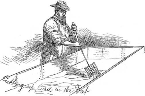 Иллюстрация к книге — Молоко! Самый спорный продукт [i_012.jpg]