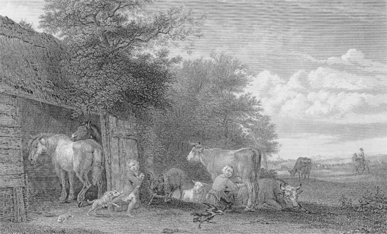 Иллюстрация к книге — Молоко! Самый спорный продукт [i_013.jpg]