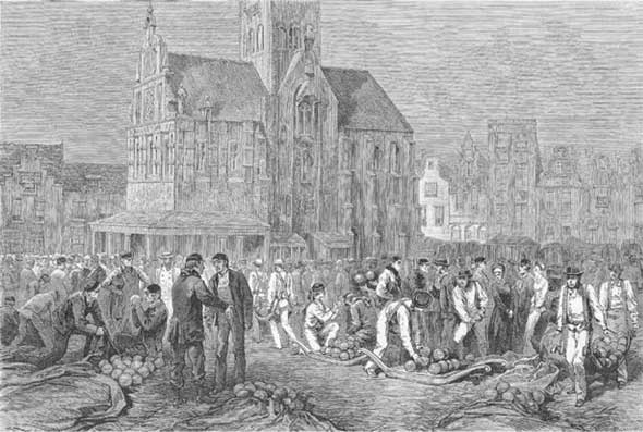 Иллюстрация к книге — Молоко! Самый спорный продукт [i_014.jpg]