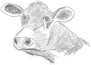 Иллюстрация к книге — Молоко! Самый спорный продукт [i_015.jpg]