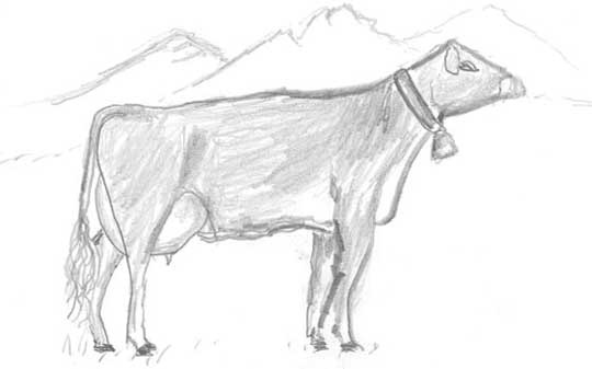 Иллюстрация к книге — Молоко! Самый спорный продукт [i_029.jpg]