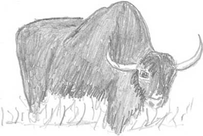 Иллюстрация к книге — Молоко! Самый спорный продукт [i_036.jpg]