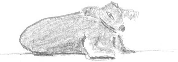 Иллюстрация к книге — Молоко! Самый спорный продукт [i_038.jpg]