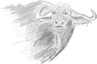 Иллюстрация к книге — Молоко! Самый спорный продукт [i_041.jpg]