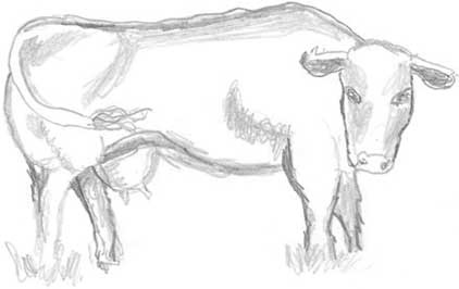 Иллюстрация к книге — Молоко! Самый спорный продукт [i_043.jpg]