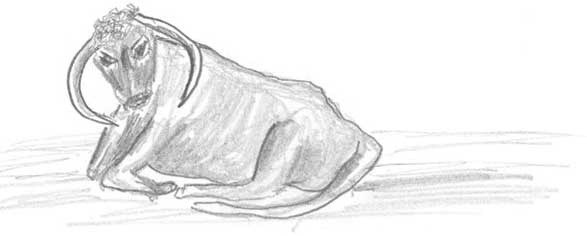 Иллюстрация к книге — Молоко! Самый спорный продукт [i_049.jpg]